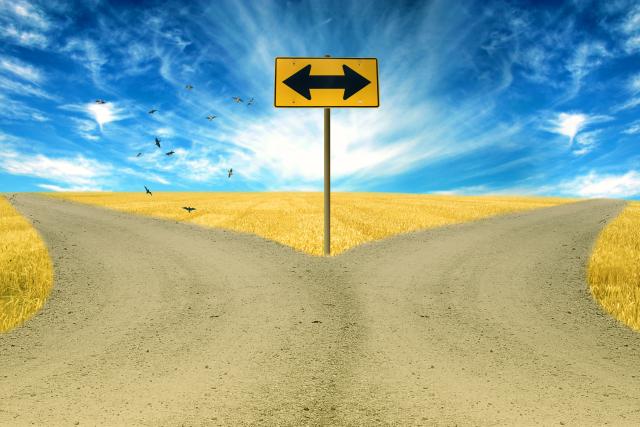 sign pointing at both sides of a fork in the road